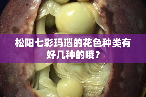 松阳七彩玛瑙的花色种类有好几种的哦？