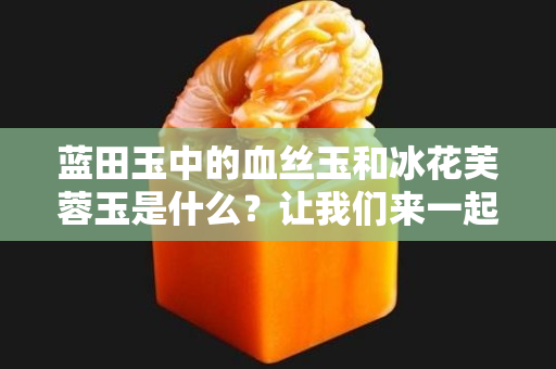 蓝田玉中的血丝玉和冰花芙蓉玉是什么？让我们来一起了解一番