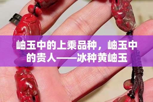 岫玉中的上乘品种，岫玉中的贵人——冰种黄岫玉