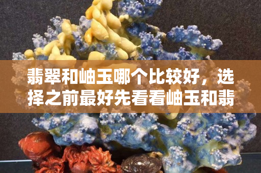 翡翠和岫玉哪个比较好，选择之前最好先看看岫玉和翡翠的区别