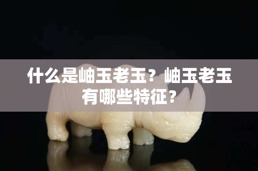 什么是岫玉老玉？岫玉老玉有哪些特征？