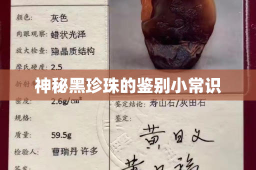 神秘黑珍珠的鉴别小常识