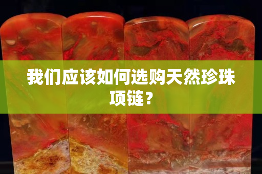 我们应该如何选购天然珍珠项链？