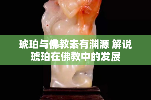 琥珀与佛教素有渊源 解说琥珀在佛教中的发展