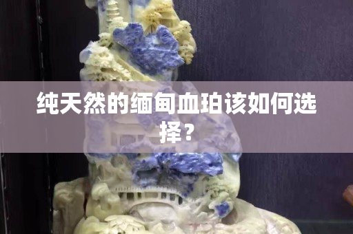 纯天然的缅甸血珀该如何选择？