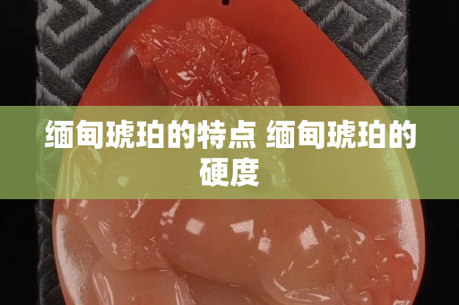 缅甸琥珀的特点 缅甸琥珀的硬度