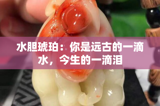 水胆琥珀：你是远古的一滴水，今生的一滴泪