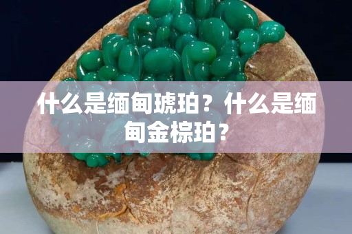 什么是缅甸琥珀？什么是缅甸金棕珀？