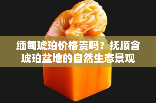 缅甸琥珀价格贵吗？抚顺含琥珀盆地的自然生态景观