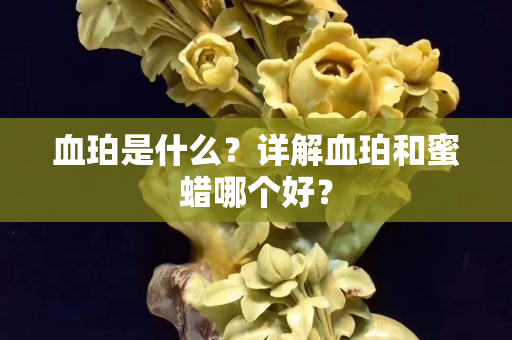 血珀是什么？详解血珀和蜜蜡哪个好？