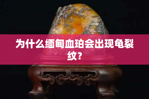 为什么缅甸血珀会出现龟裂纹？