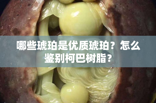 哪些琥珀是优质琥珀？怎么鉴别柯巴树脂？