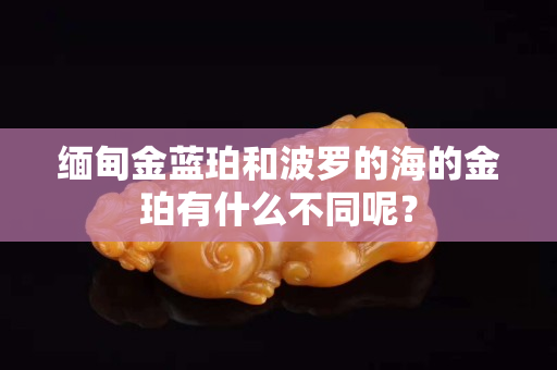 缅甸金蓝珀和波罗的海的金珀有什么不同呢？