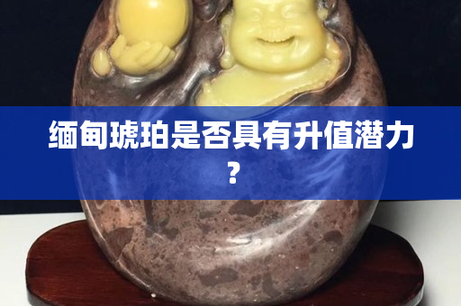 缅甸琥珀是否具有升值潜力？