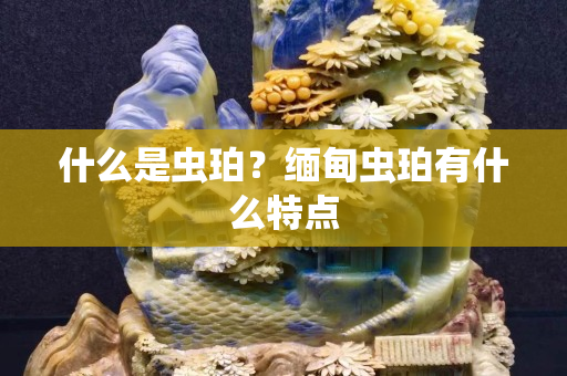 什么是虫珀？缅甸虫珀有什么特点