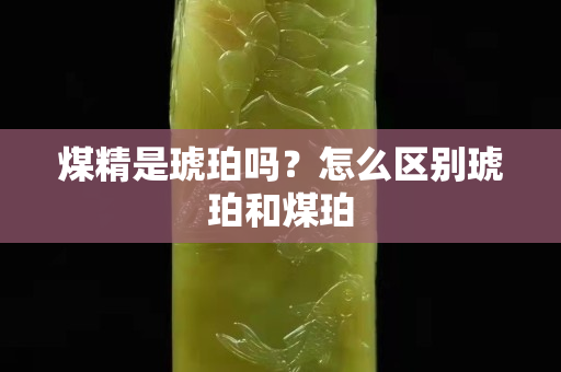 煤精是琥珀吗？怎么区别琥珀和煤珀