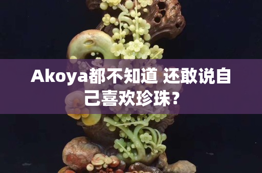 Akoya都不知道 还敢说自己喜欢珍珠？