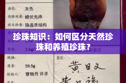 珍珠知识：如何区分天然珍珠和养殖珍珠？