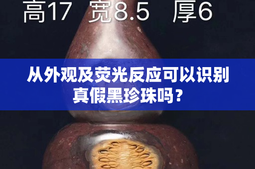 从外观及荧光反应可以识别真假黑珍珠吗？