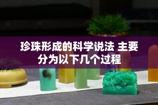 珍珠形成的科学说法 主要分为以下几个过程