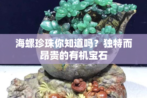 海螺珍珠你知道吗？独特而昂贵的有机宝石