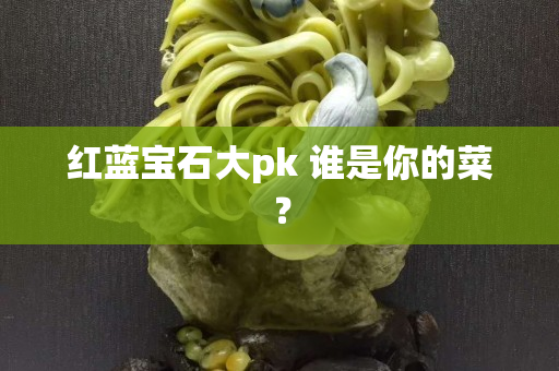 红蓝宝石大pk 谁是你的菜？