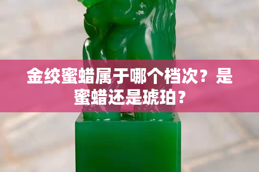 金绞蜜蜡属于哪个档次？是蜜蜡还是琥珀？