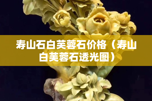 寿山石白芙蓉石价格（寿山白芙蓉石透光图）