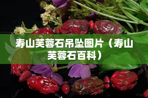 寿山芙蓉石吊坠图片（寿山芙蓉石百科）