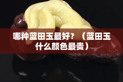 哪种蓝田玉最好？（蓝田玉什么颜色最贵）