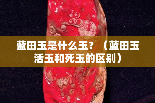 蓝田玉是什么玉？（蓝田玉活玉和死玉的区别）