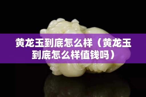 黄龙玉到底怎么样（黄龙玉到底怎么样值钱吗）