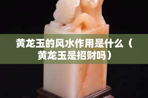 黄龙玉的风水作用是什么（黄龙玉是招财吗）