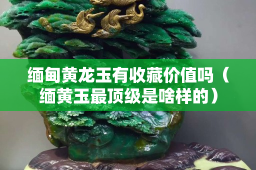 缅甸黄龙玉有收藏价值吗（缅黄玉最顶级是啥样的）