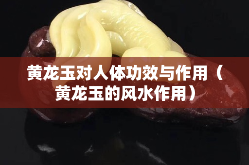 黄龙玉对人体功效与作用（黄龙玉的风水作用）