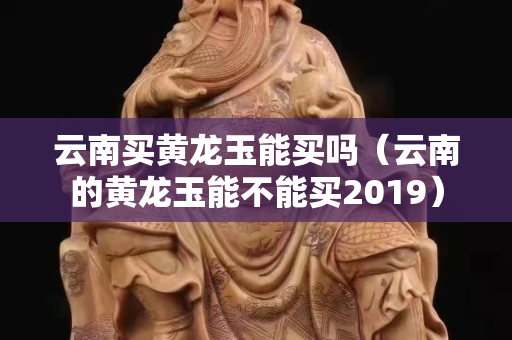 云南买黄龙玉能买吗（云南的黄龙玉能不能买2019）