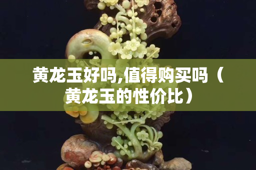 黄龙玉好吗,值得购买吗（黄龙玉的性价比）