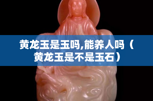 黄龙玉是玉吗,能养人吗（黄龙玉是不是玉石）