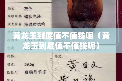 黄龙玉到底值不值钱呢（黄龙玉到底值不值钱呢）