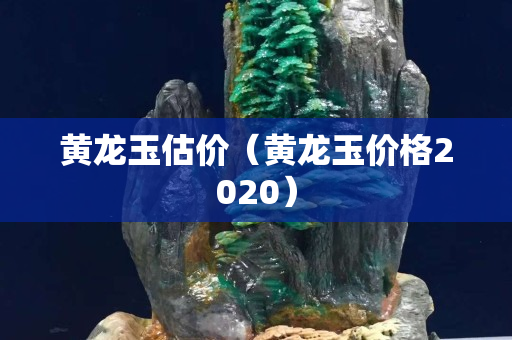 黄龙玉估价（黄龙玉价格2020）