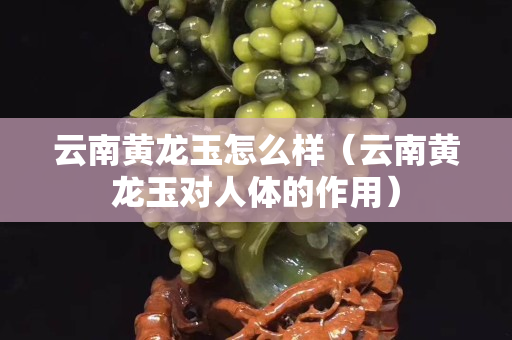 云南黄龙玉怎么样（云南黄龙玉对人体的作用）