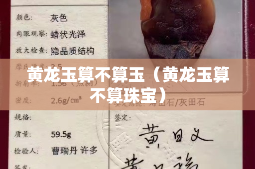 黄龙玉算不算玉（黄龙玉算不算珠宝）