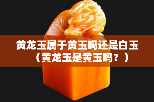 黄龙玉属于黄玉吗还是白玉（黄龙玉是黄玉吗？）