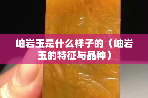 岫岩玉是什么样子的（岫岩玉的特征与品种）