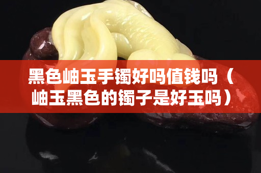 黑色岫玉手镯好吗值钱吗（岫玉黑色的镯子是好玉吗）