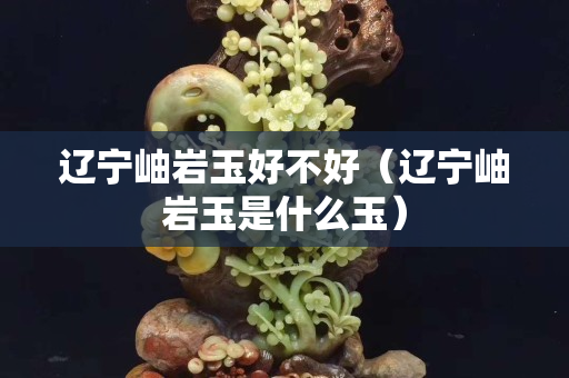 辽宁岫岩玉好不好（辽宁岫岩玉是什么玉）