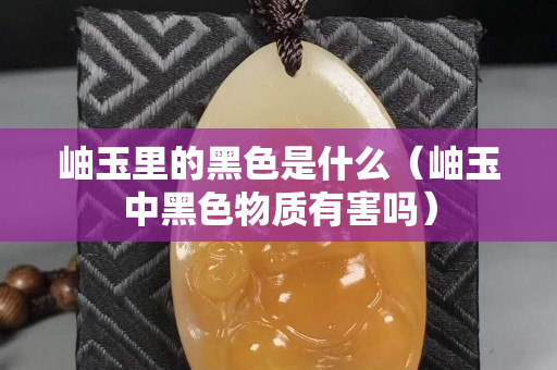 岫玉里的黑色是什么（岫玉中黑色物质有害吗）