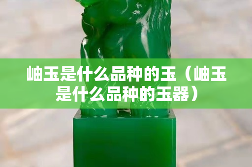 岫玉是什么品种的玉（岫玉是什么品种的玉器）