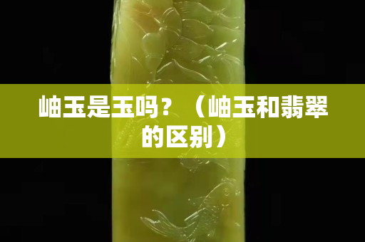 岫玉是玉吗？（岫玉和翡翠的区别）