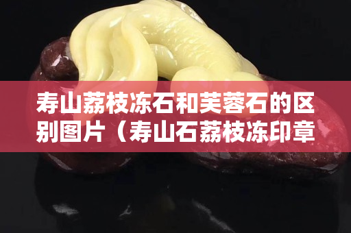 寿山荔枝冻石和芙蓉石的区别图片（寿山石荔枝冻印章精品价格）